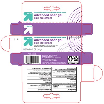 Principal Display Panel – Carton (Target Advanced Scar Gel Carton)